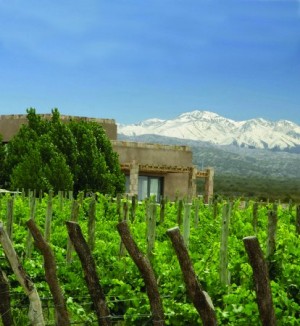 Live on your own Managed Vineyard with stunning views of the Andes