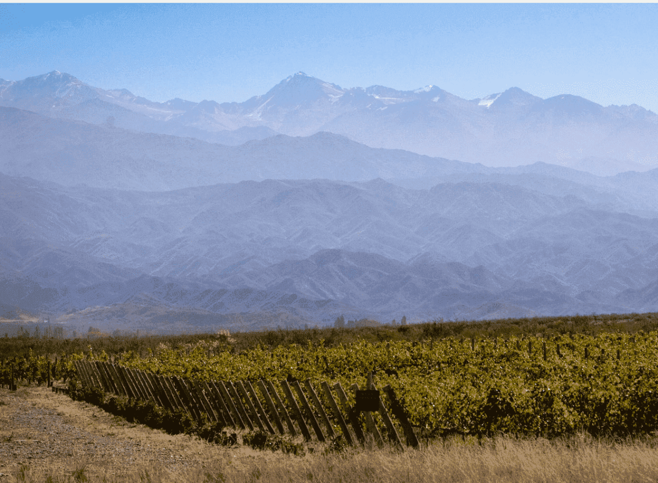 BBI Argentina Vineyards, Wineries, Real Estate for Sale in Argentina